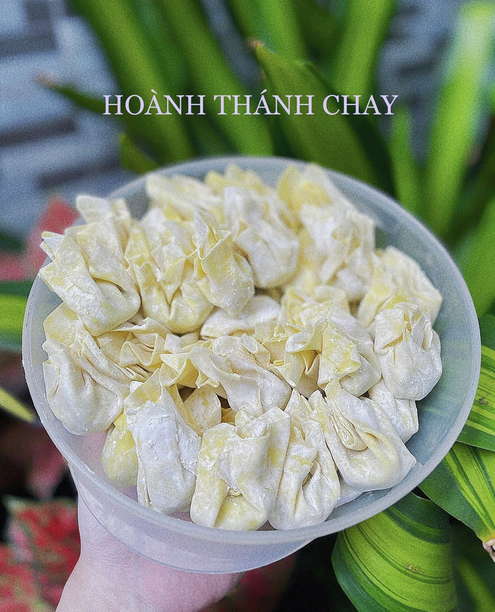 Hoành Thánh Chay